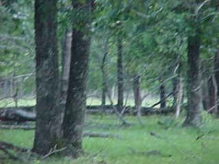 view of land