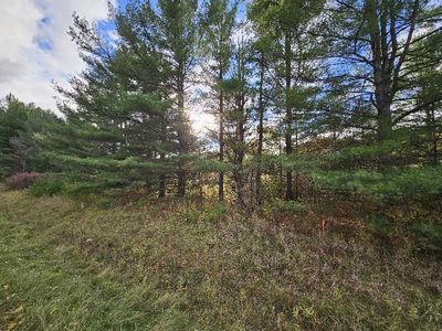 Deerhaven Rd, Alger, MI, 48610