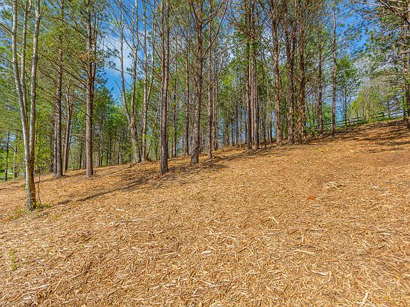 3rd image of 19 Turkey Run