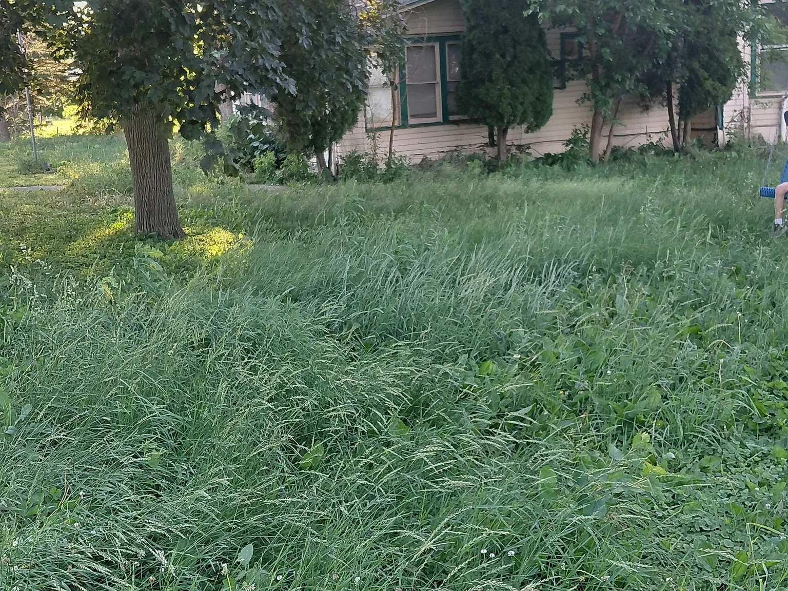 4 bed, 2044 sqft, $100 — Photo 4