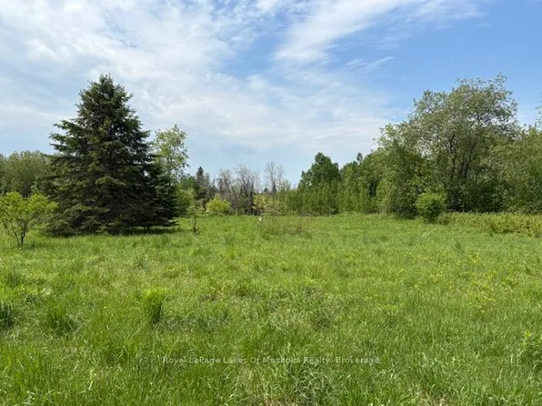 351 Ravenscliffe Rd, Huntsville, ON P1H 1L6