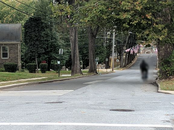 5th image of 26 W Knowles Ave