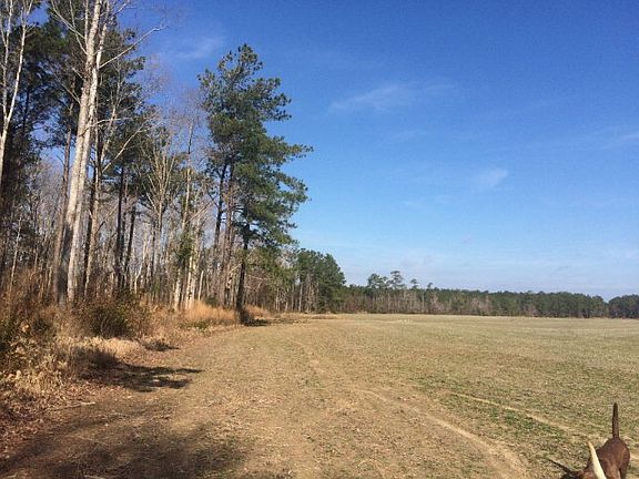 4th image of 0 Neuse Road