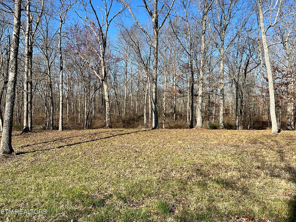 1st image of 9 Bluff View Dr