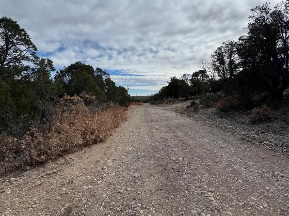 217 Trout Dr, Timberon, NM 88350