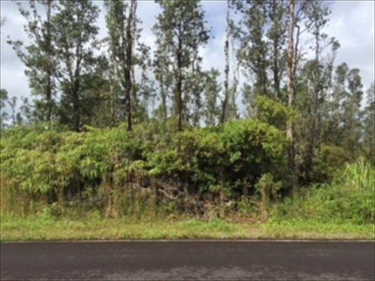 1st image of Silversword Dr Lot 4
