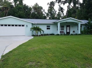 2244 Davis Dr, New Smyrna Beach, FL 32168