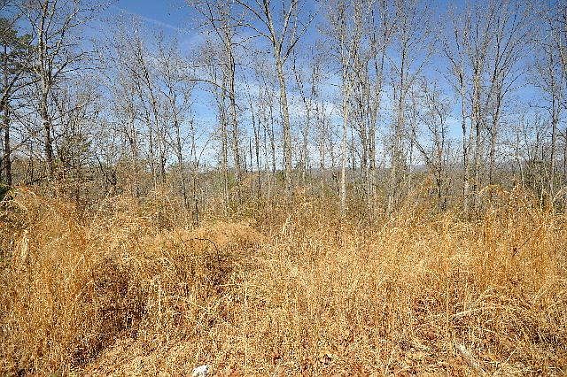 1st image of 258 Old Highway 64