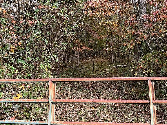 log roads and paths 