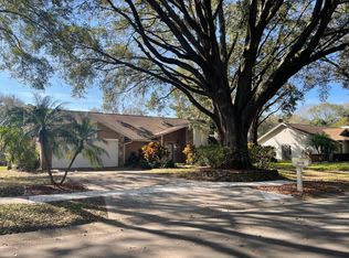 3028 Avalon Terrace Dr, Valrico, FL 33596