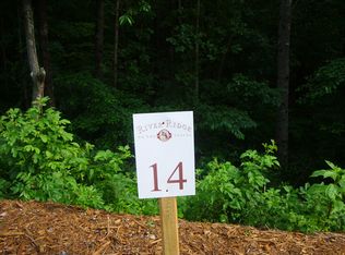 14 River Ridge Ln, Blue Ridge, GA 30513