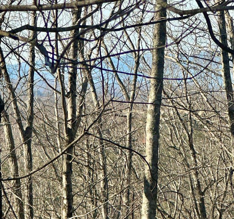 1st image of LOT 32 Blue Horizon Dr
