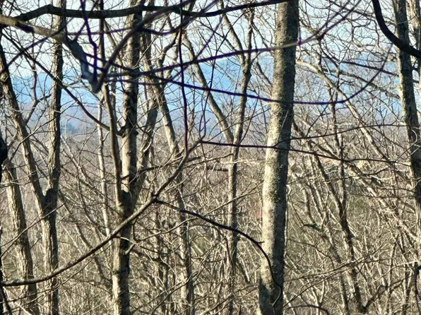 LOT 32 Blue Horizon Dr, Blue Ridge, GA 30513