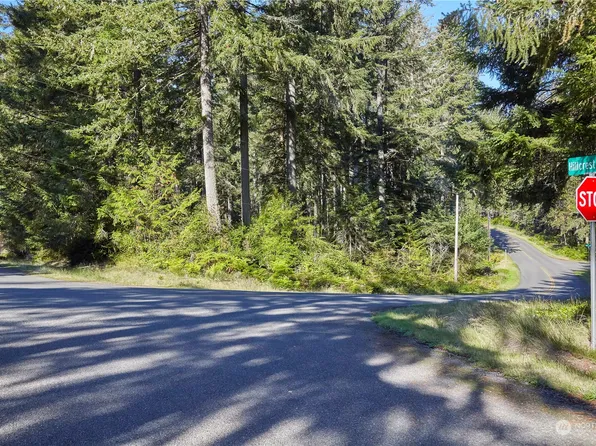 10423 Lake Josephine Boulevard, Anderson Island, WA 98303