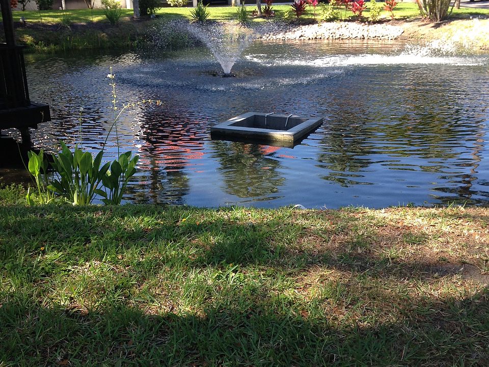 view from front porch