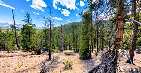 2nd image of 111 Kevin Gulch Road