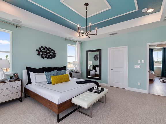 Luxurious owner s suite