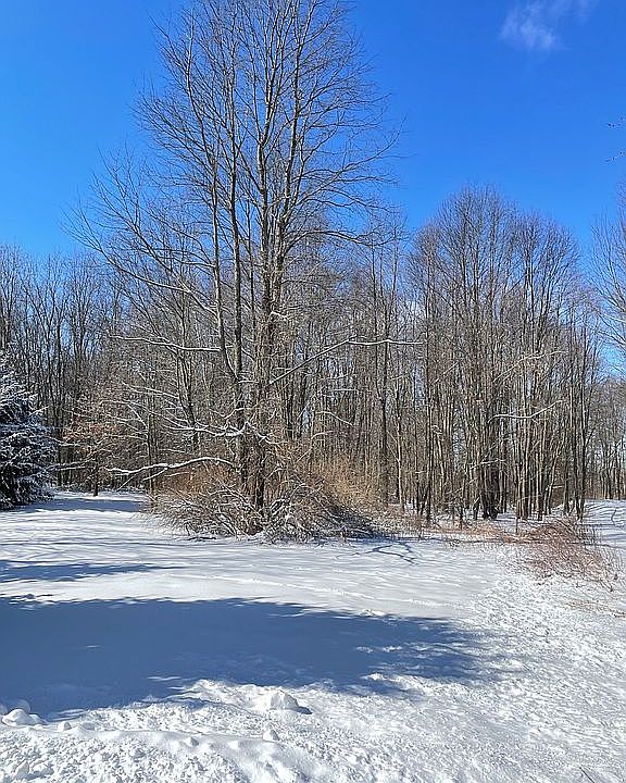 1st image of 8054 Poplar Dr