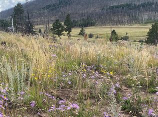 465 Mulligan Ln, Fort Garland, CO 81133