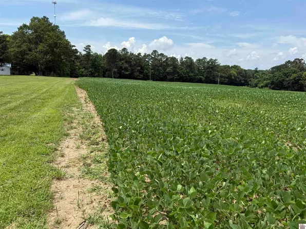 12184 State Highway 97, Farmington, KY 42040