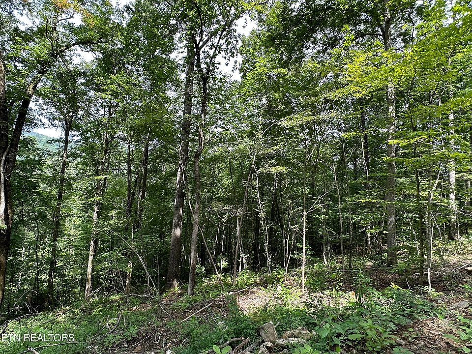 Elk Valley Pike, TN 37819 Zillow