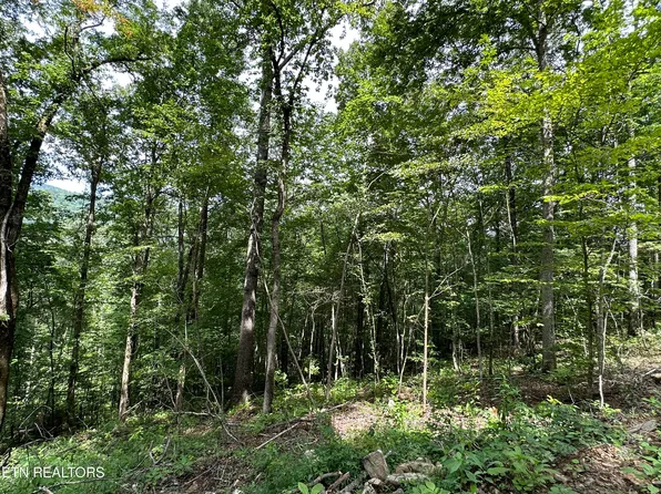 Newcomb Elk Valley Pike, Newcomb, TN 37819