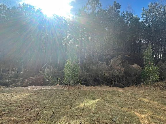 Backyard Construction Progress Your new home at 3728 Hester Street.