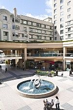 :: 988 Franklin Street, #1101