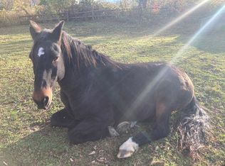 42 Candia Rd, Chester, NH 03036