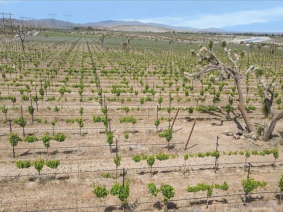 2nd image of 0 Fort Tejon Vic 82nd Ste Rd
