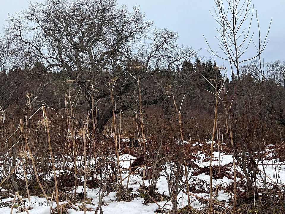 2nd image of Township Road A