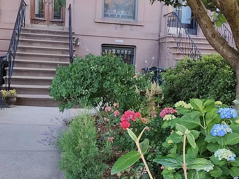 328B President St #3 — Photo 3
