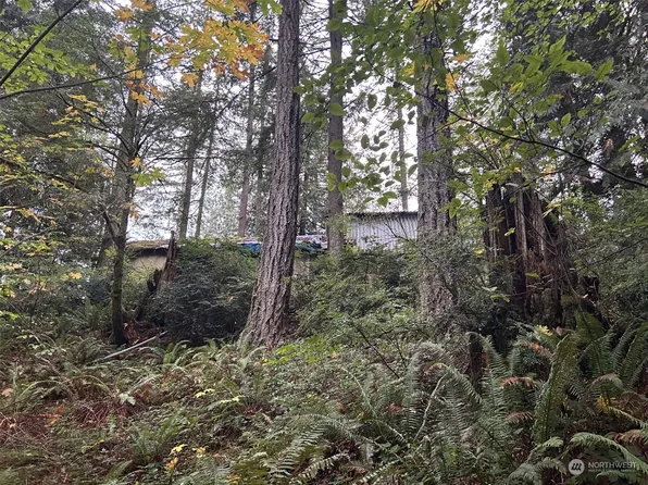 12980 Winter Creek Avenue NW, Silverdale, WA 98383