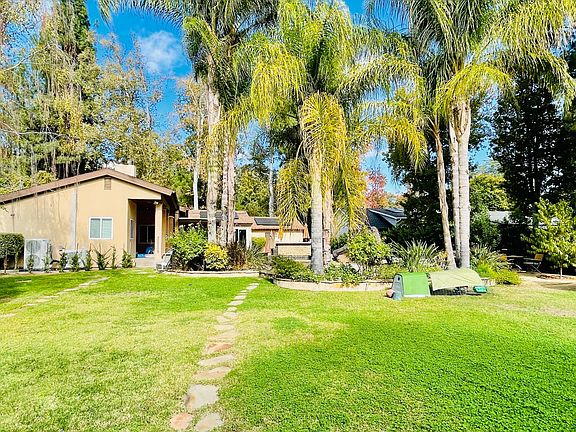 Backyard with mature palm trees and view towards house.