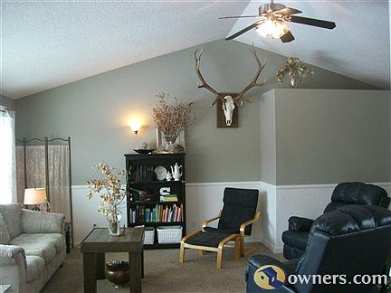 Vaulted Living Room