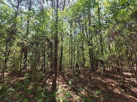 3rd image of 0 Bears Bluff Rd Lot C