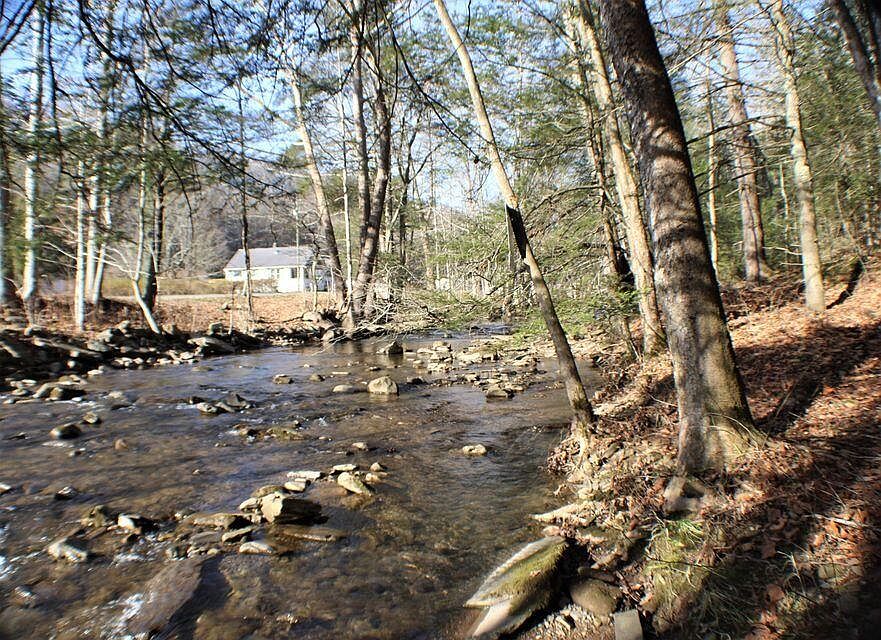 1506 Old Buckeye Rd, Buckeye, WV 24924 Zillow