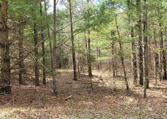 4th image of XXX Normans Landing Road