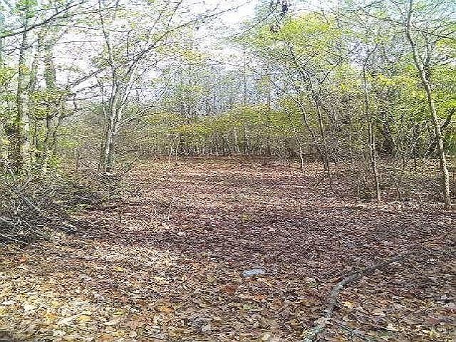 1st image of Payton Rd