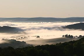 Morning Mist