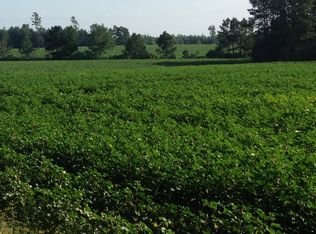 Country Mill Rd, Jay, FL 32565