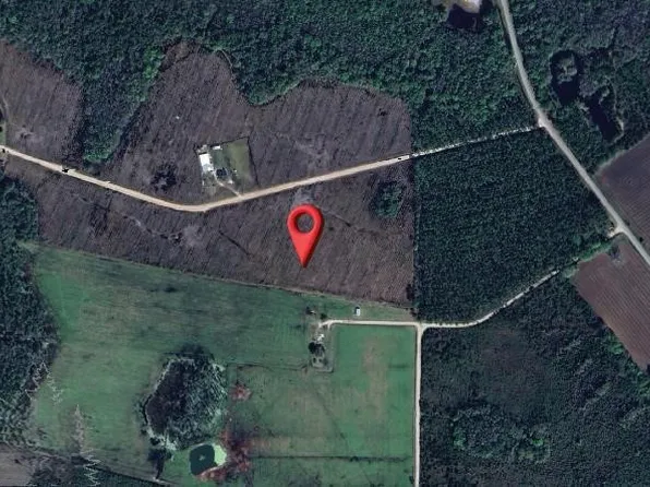 3 Buck Corbitt Rd, Manor, GA 31550