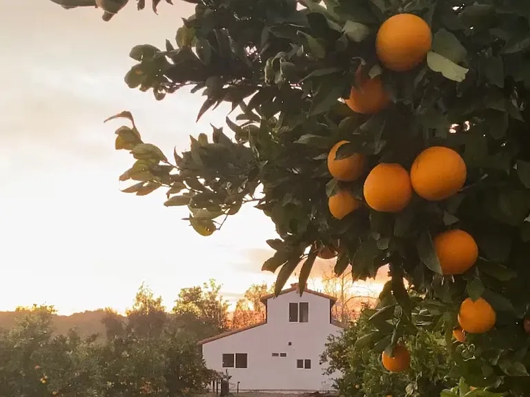 17436 N Mesa Dr #2 — Photo 7