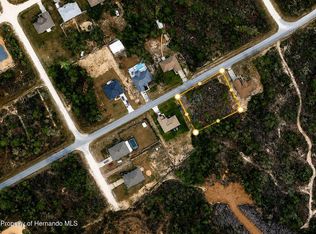 12410 Barnevelde Rd, Brooksville, FL 34614