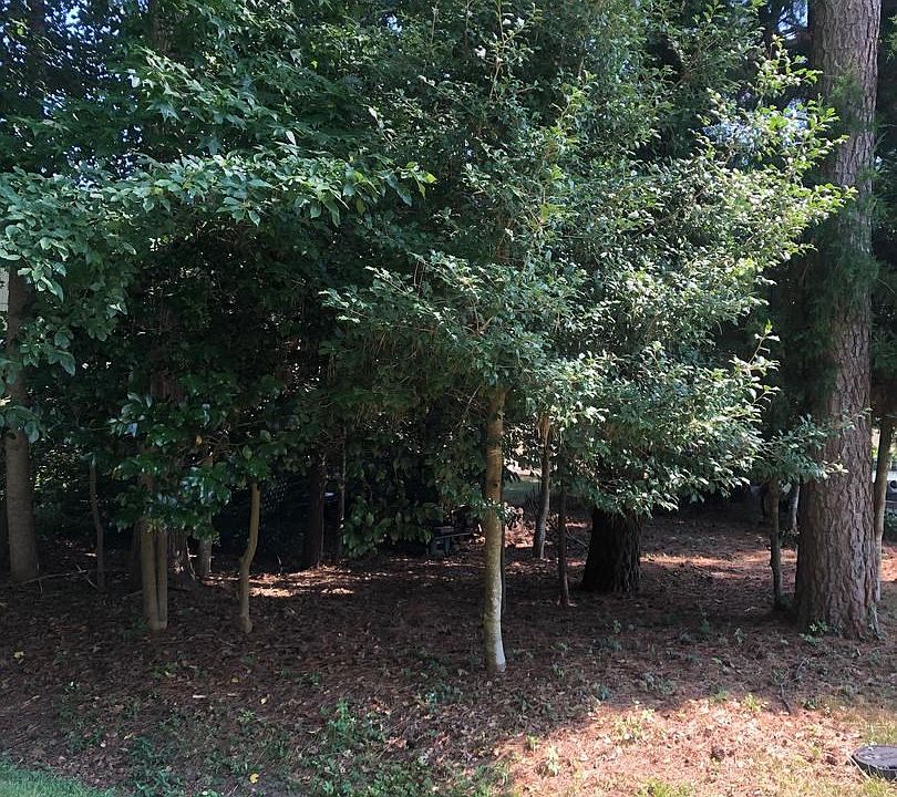 2nd image of 5 Oceans End