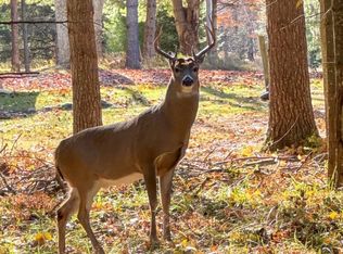 Wood Rd, Lincoln, MI 48742