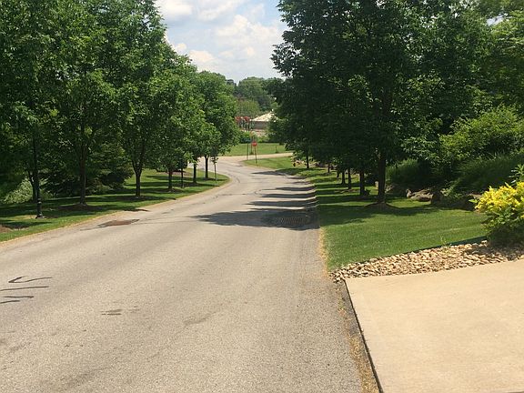 Tree lined entrance 