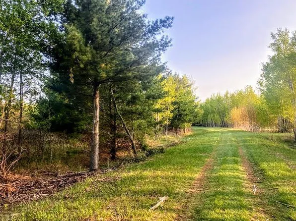 Tbd Portage Loop, Browerville, MN 56438