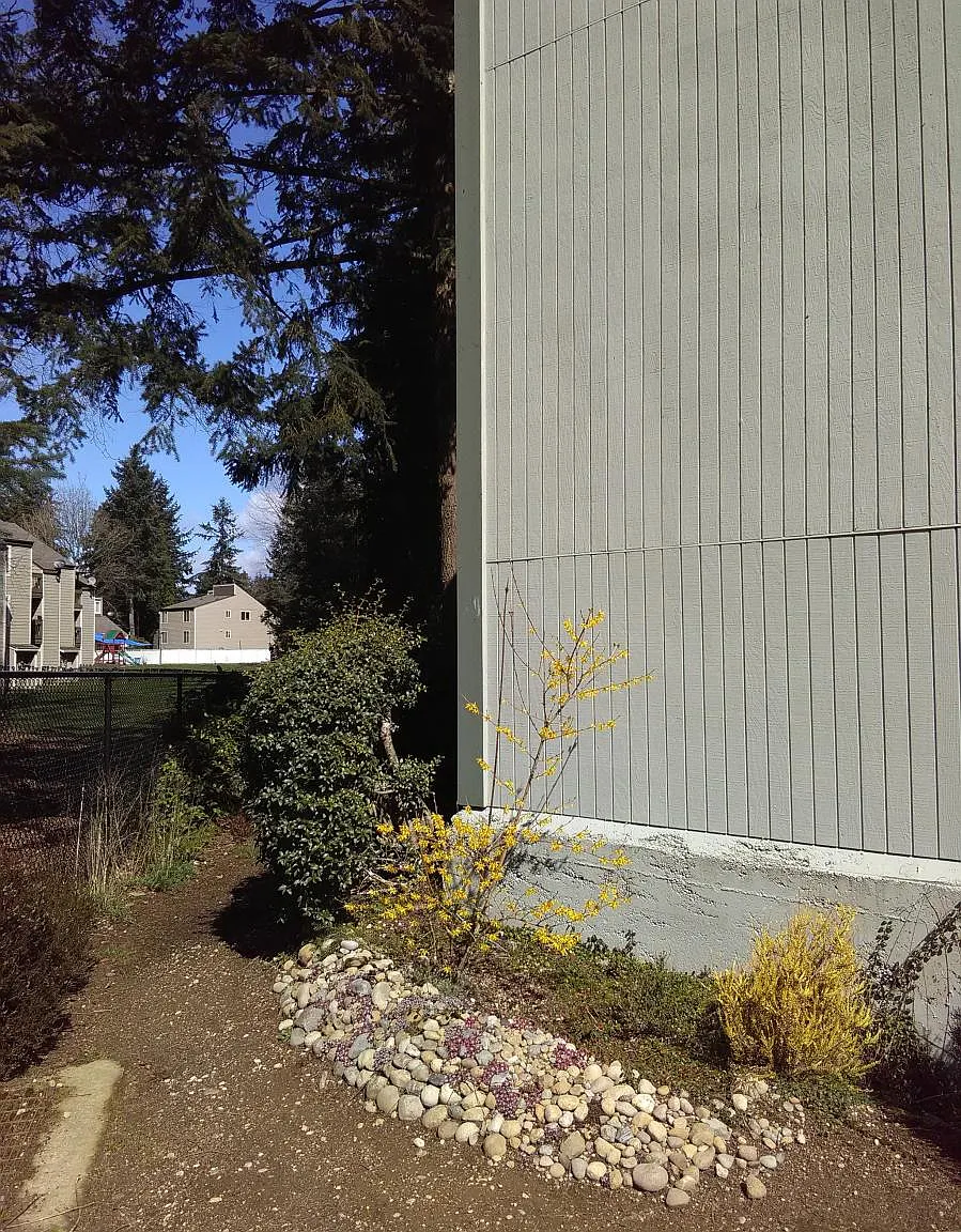 1 bed, 680 sqft, $2,300 — Photo 2