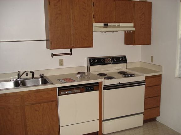 Kitchen_Stove_and_ Dishwasher